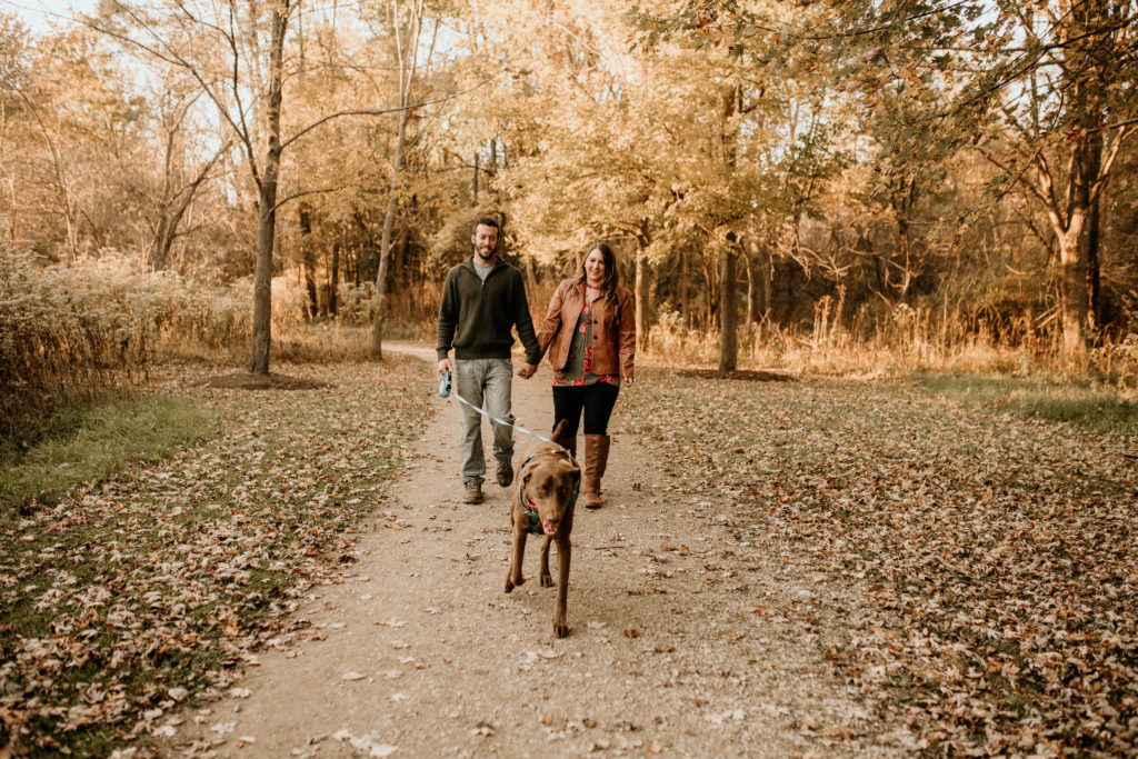 couple walking with dog. fall leaves on ground. brown chocolate lab dog. warm tone fall engagement photo portrait