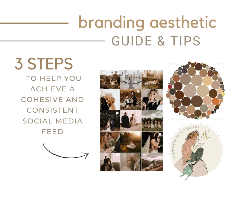 branding aesthetic- guides and tips- 3 steps to help you achieve a cohesive and consistent social media feed