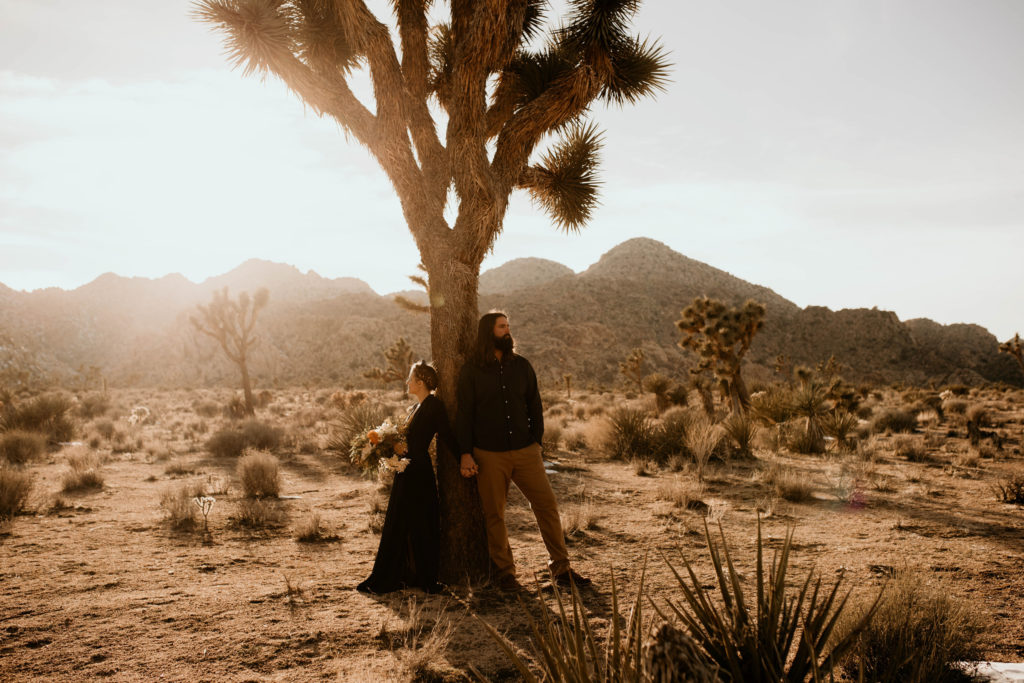 boho bride and groom dancing holding hands and leaning against a tree in joshua tree national park
